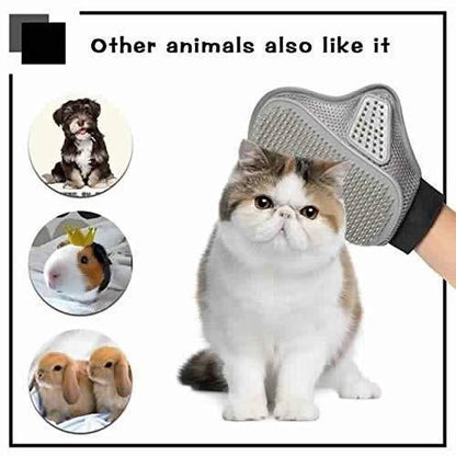 Stainless Steel Pet Grooming Glove